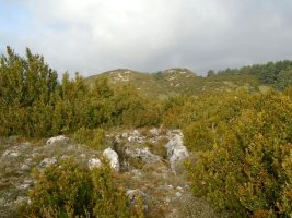 santa llucia