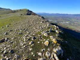 Tontorra
