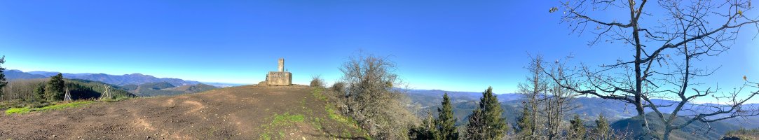Tontorra