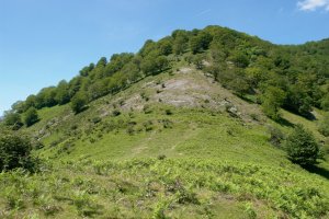 Urdanzarrateko lepoa eta Pagoeta IEko hegia