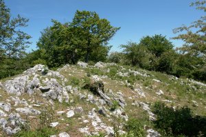Pagoeta tontorra