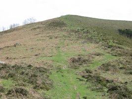 Izu tontorra ekialdeko lepotik