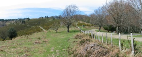 Elutxa inguruak
