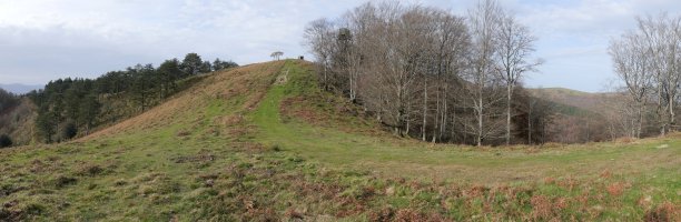 Bidango Gaina tontorra, ekialdetik