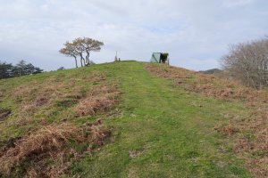 Bidango Gaina  tontorra