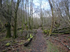 PR-Na 125 Erroiarriko ur-jauzitik gertu