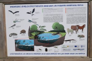 Urmaelaren inguruko azalpena, Belabieta tontorretik gertu