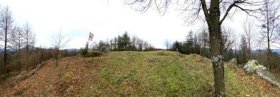 Tontorra