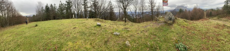 Tontorra