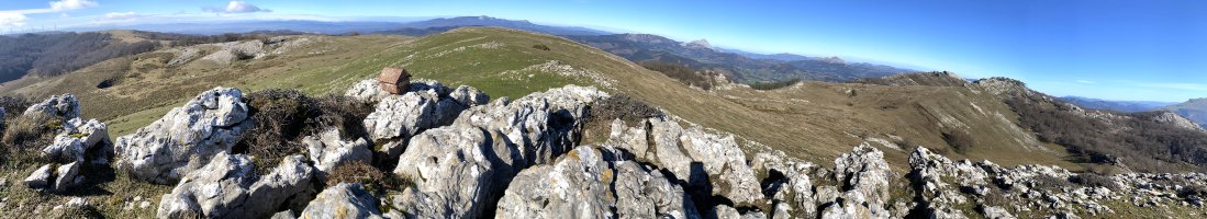Tontorra