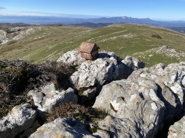 Tontorra