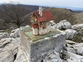 Buzoia