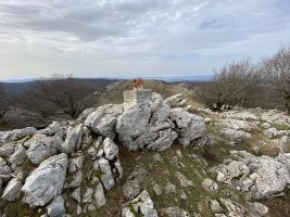 Tontorra