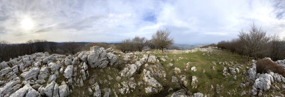 Tontorra