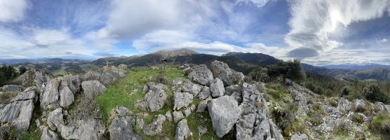 Tontorra