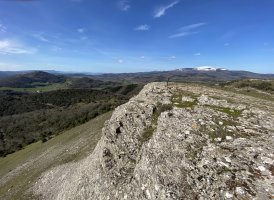 Tontorra