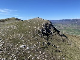 Tontorra
