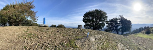 Tontorra