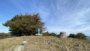 Tontorra