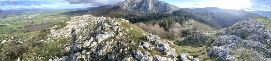 Tontorra