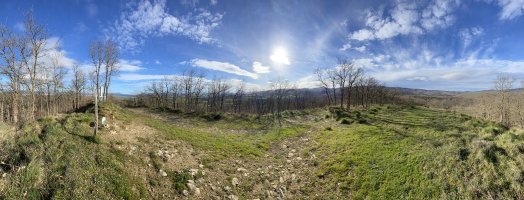 Tontorra