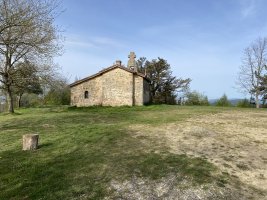 Tontorra