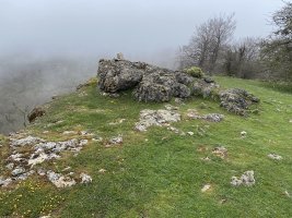 Tontorra