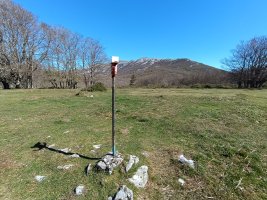 Tontorra