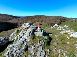 Tontorra