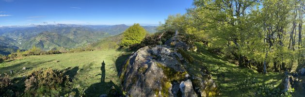 Tontorra