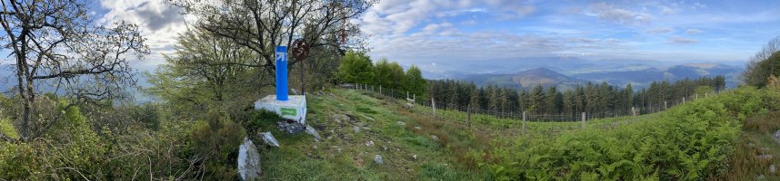 Tontorra