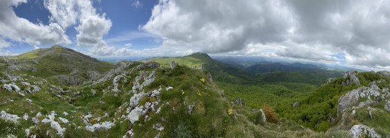 Tontorra