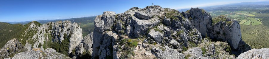 Tontorra