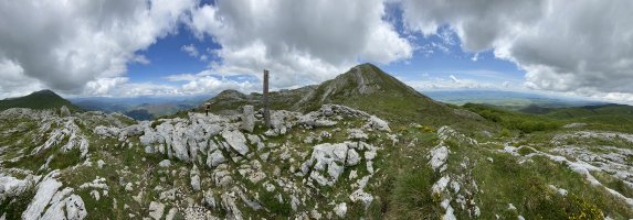 Tontorra