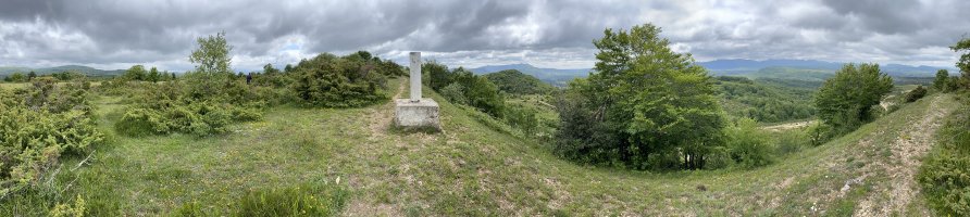 Tontorra