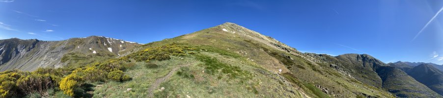 Pico Murcia