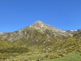 Pico Murcia
