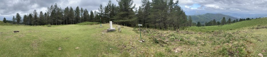 Tontorra