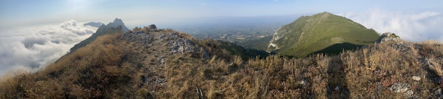 Tontorra