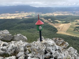 Buzoia