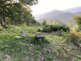 Tontorra