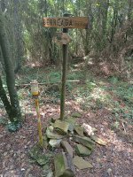 Tontorra