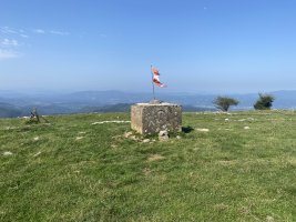 Tontorra