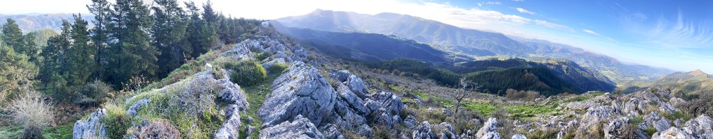 Tontorra