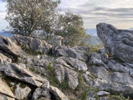 Tontorra