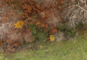 Raso del corral de Marino