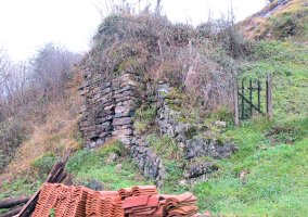 Bertasorota karobia, Berastegi