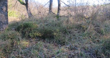 Mutxurro Oskotz tumulua, Oskotz-Imotz