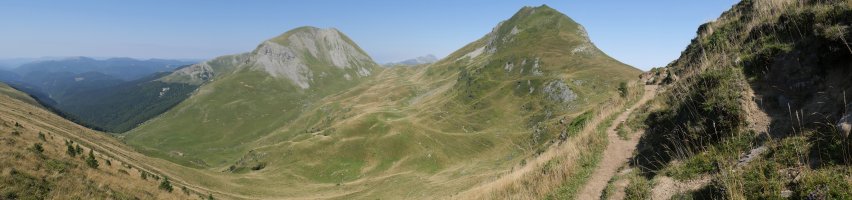 Otsogorrigaina eta Sardekagaina Belhai paretik