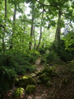 Bidea ekialdeko bizkarrean barrena